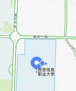 1563779384272391.jpg